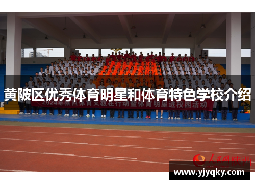 黄陂区优秀体育明星和体育特色学校介绍